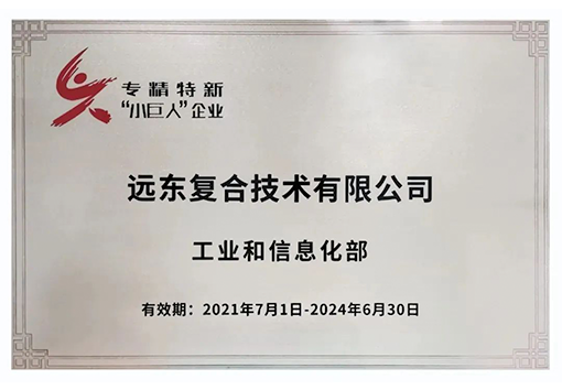 遠(yuǎn)東復(fù)合技術(shù)專精特新小巨人企業(yè)